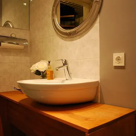 Center 25 شقة ليوبليانا