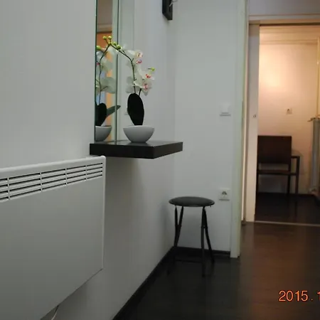 Center 25 شقة ليوبليانا